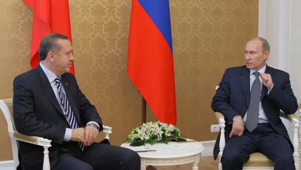 俄土总统讨论叙利亚停火协议和筹备阿斯塔纳会谈 - 俄罗斯卫星通讯社