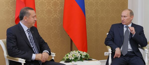 俄土总统讨论叙利亚停火协议和筹备阿斯塔纳会谈 俄土总统讨论叙利亚停火协议和筹备阿斯塔纳会谈 - 俄罗斯卫星通讯社