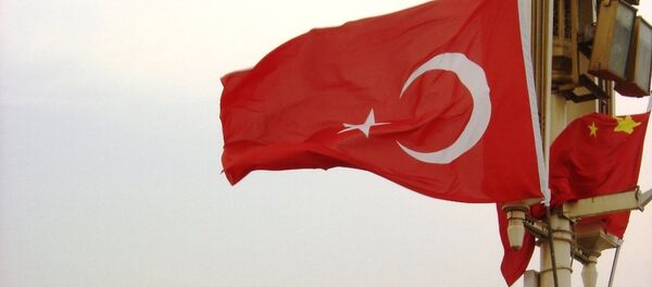 土耳其總統去中國求助 土耳其總統去中國求助 - 俄羅斯衛星通訊社