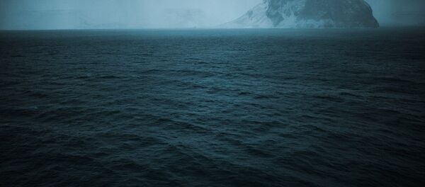 俄羅斯科學家在拉普捷夫海海底發現了家用塑料 - 俄羅斯衛星通訊社