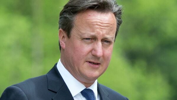 英国首相在印尼讨论打击伊斯兰国以及经济问题 - 俄罗斯卫星通讯社