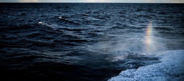 全球变暖和细菌杀手正在扩大海洋中的“死亡地带” - 俄罗斯卫星通讯社