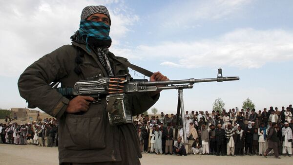 塔利班武装分子 - 俄罗斯卫星通讯社