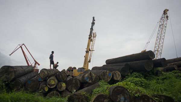 緬甸大赦服刑者 155名中國伐木工人獲釋 - 俄羅斯衛星通訊社