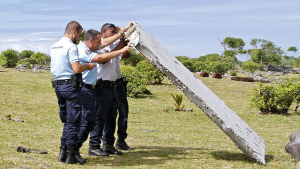 印度洋法属留尼汪岛发现飞机残骸 - 俄罗斯卫星通讯社