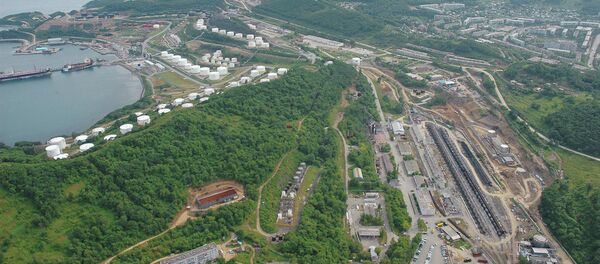 专家：中俄成立新政府间合作委员会是双方务实看待地区合作的好兆头 - 俄罗斯卫星通讯社