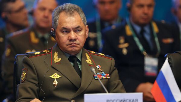 俄防長：俄白兩國將在兩年內建立統一武裝保護機制 - 俄羅斯衛星通訊社