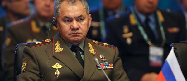 俄防长:俄白两国将在两年内建立统一武装保护机制 俄防长:俄白两国将在两年内建立统一武装保护机制 - 俄罗斯卫星通讯社
