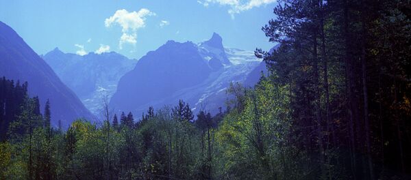 中國投資者將評估投資礦水城醫療產業區可能性 中國投資者將評估投資礦水城醫療產業區可能性 - 俄羅斯衛星通訊社