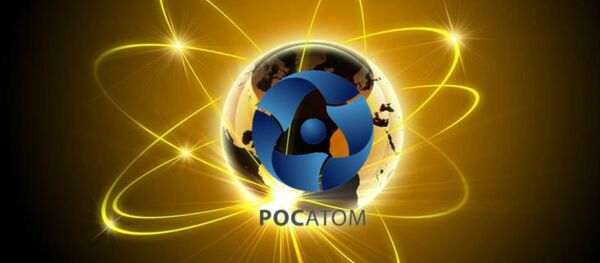 俄越簽署寧順核電站一期建設協議 - 俄羅斯衛星通訊社