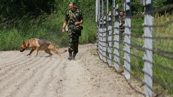 哥伦比亚政府军一只工兵犬踩雷身亡 救了30人的命 - 俄罗斯卫星通讯社