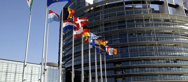 欧洲议会 - 俄罗斯卫星通讯社