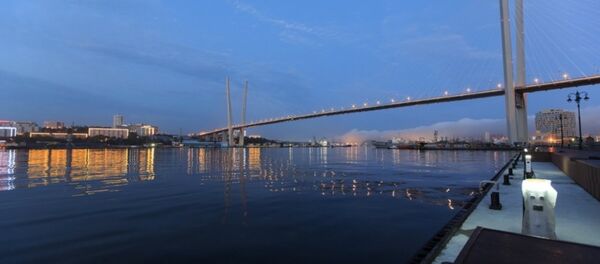 符拉迪沃斯托克市 - 俄罗斯卫星通讯社