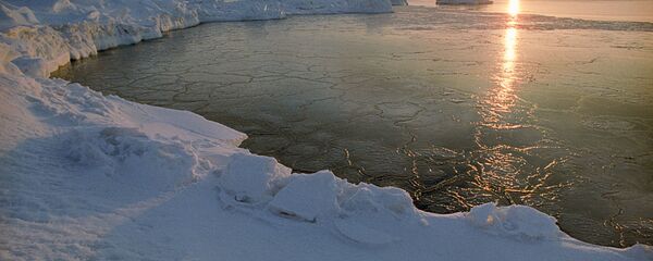 专家：中俄北极领域的合作实现历史性突破 - 俄罗斯卫星通讯社