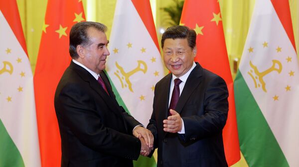 塔吉克斯坦和中国领导人讨论安全领域合作问题 - 俄罗斯卫星通讯社