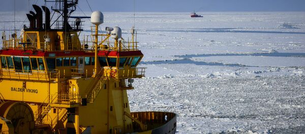 专家：外国公司关注北极开发具有政治特点 - 俄罗斯卫星通讯社