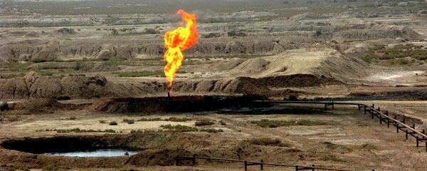 伊朗石油部长：欧佩克希望组织外国家从1月1日起减产 - 俄罗斯卫星通讯社