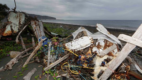 法將向留尼汪島派去飛機和船隻搜尋新的波音客機殘骸 - 俄羅斯衛星通訊社