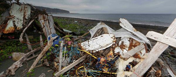 法將向留尼汪島派去飛機和船隻搜尋新的波音客機殘骸 - 俄羅斯衛星通訊社