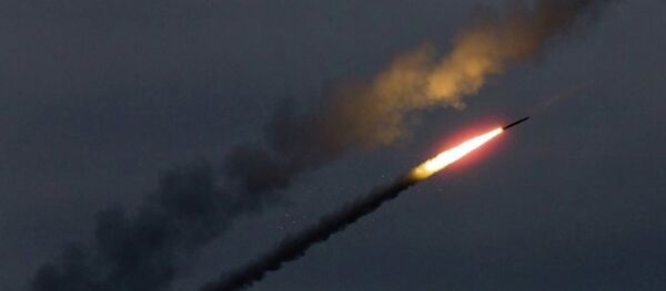 俄联邦委员会:俄罗斯严格履行中导条约 尽管它对己不利 俄联邦委员会:俄罗斯严格履行中导条约 尽管它对己不利 - 俄罗斯卫星通讯社