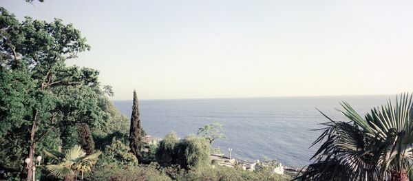 俄度假胜地索契的所有酒店均接受银联卡 - 俄罗斯卫星通讯社