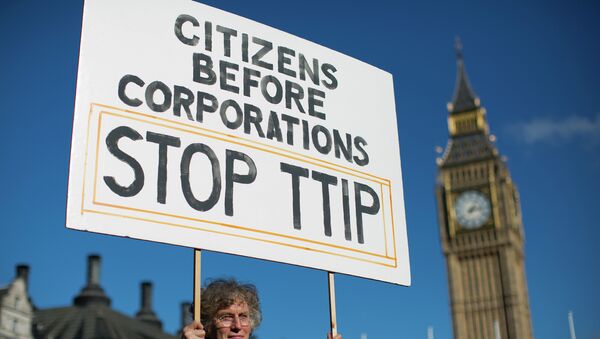 專家：美國與歐盟簽署TTIP的可能性不大 - 俄羅斯衛星通訊社