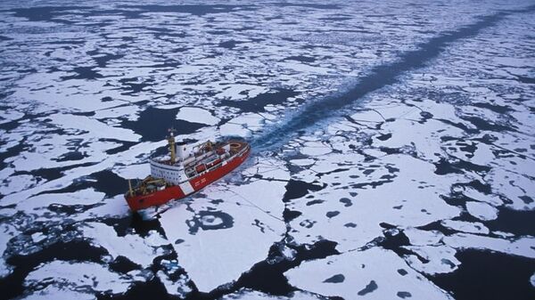 媒體：中國首艘自主建造極地科考破冰船或於2019年完工 - 俄羅斯衛星通訊社