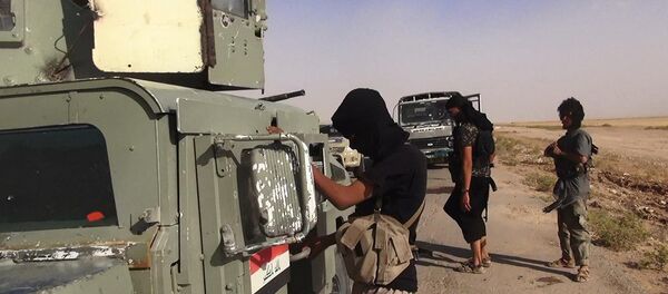 伊斯兰国 - 俄罗斯卫星通讯社