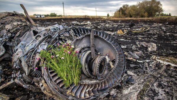 MH17航班失事后两年：问题仍然没有答案 - 俄罗斯卫星通讯社