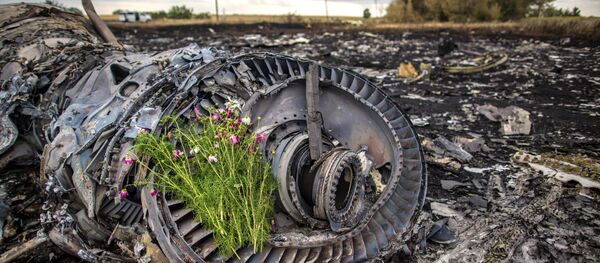 西方媒体关于马航客机乌东坠毁事件的说法与调查小组报告相矛盾 - 俄罗斯卫星通讯社