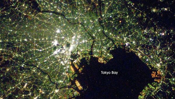 Космический снимок Токио и Токийского залива - 俄罗斯卫星通讯社