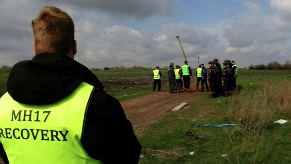 俄副外長：荷蘭提交的馬航MH17墜機事件調查報告有失偏頗 - 俄羅斯衛星通訊社