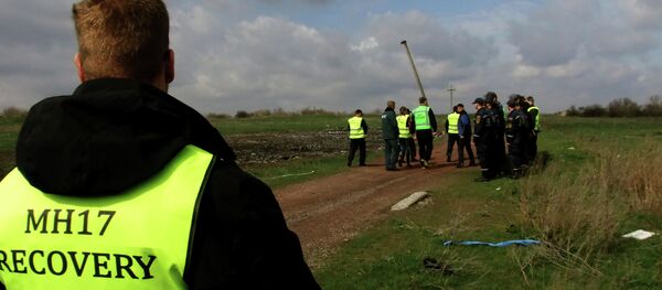 俄副外长：荷兰提交的马航MH17坠机事件调查报告有失偏颇 - 俄罗斯卫星通讯社