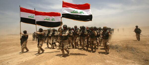 俄大使：俄方愿向与“伊斯兰国”作战的伊拉克供应一切必要军事装备 - 俄罗斯卫星通讯社