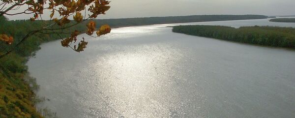 中國駐俄大使：中國主張加速建造跨阿穆爾河鐵路橋 - 俄羅斯衛星通訊社