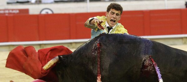 西班牙公牛節日奔跑衝撞造成一人死亡 西班牙公牛節日奔跑衝撞造成一人死亡 - 俄羅斯衛星通訊社