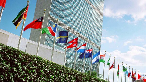 联合国：俄新社战地记者祖耶夫殉职凸显新闻工作的高风险 - 俄罗斯卫星通讯社