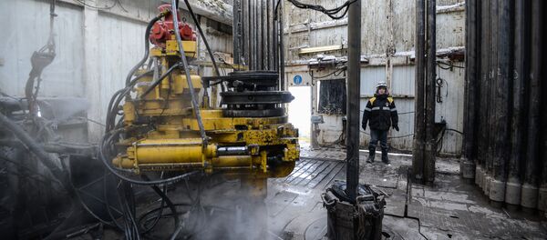 IMF： OPEC市场份额2020年前将降至35% 油价随之或涨至75美元/桶 - 俄罗斯卫星通讯社