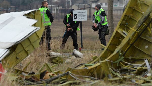 中国在联合国安理会马航客机在乌坠毁事件中的立场是对俄罗斯的支持 - 俄罗斯卫星通讯社