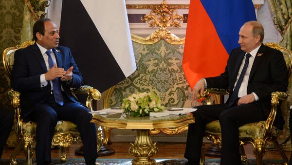普京8月26日將在俄會晤埃及總統討論中東局勢 - 俄羅斯衛星通訊社