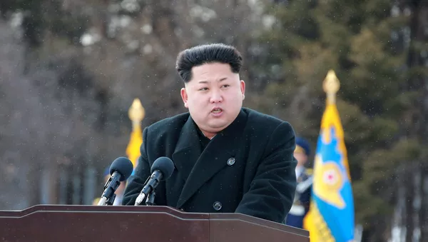 金正恩：朝鮮即使在制裁下仍完成了在該國的第三座水電站建設 - 俄羅斯衛星通訊社