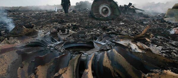 体︰ 俄罗斯为调查马航MH-17在乌失事事件透露山毛榉导弹信息 - 俄罗斯卫星通讯社