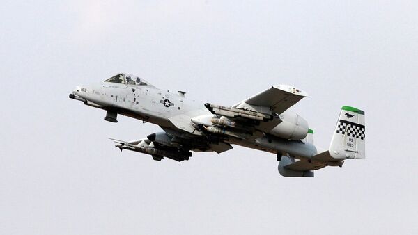 美國與愛沙尼亞空軍聯合演習8月24日開始 - 俄羅斯衛星通訊社