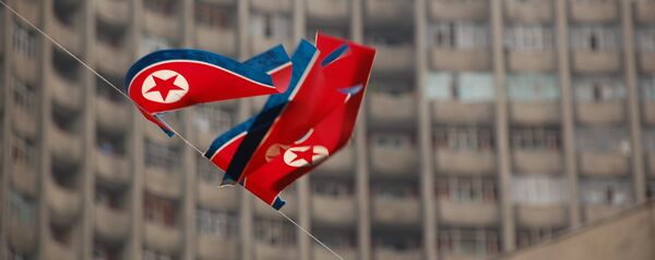 朝鲜外相：朝拟2030年前将粮食产量翻一番 - 俄罗斯卫星通讯社