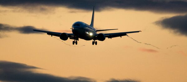 波音737飛機駕駛艙 - 俄羅斯衛星通訊社