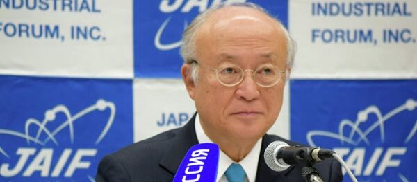 國際原子能機構需920萬歐元來實施伊核聯合全面行動計劃 - 俄羅斯衛星通訊社