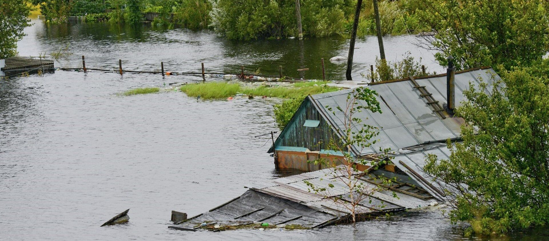 远东4个地区的洪水被认定为联邦性质紧急情况 - 俄罗斯卫星通讯社, 1920, 13.08.2021