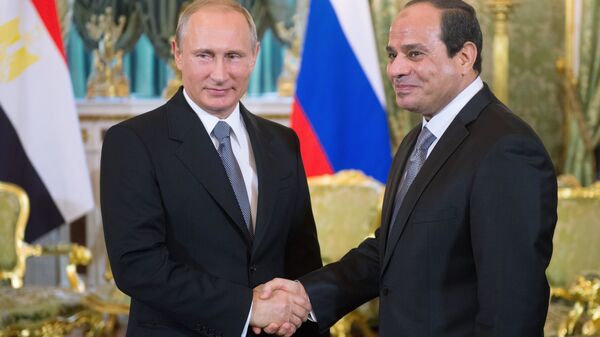 埃及总统向普京表示希望深化与俄罗斯的伙伴关系 - 俄罗斯卫星通讯社