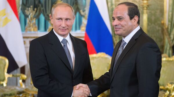 普京：俄计划加大对埃及粮食出口 - 俄罗斯卫星通讯社