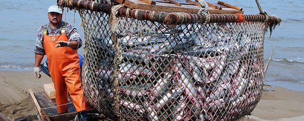 中國農業部：中方願與俄方繼續強化邊境水域漁業漁政合作 - 俄羅斯衛星通訊社